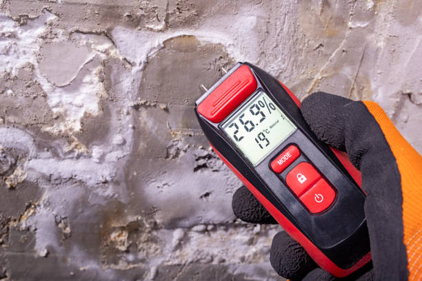 Best Fast Mold Removal  in Milford City, CT