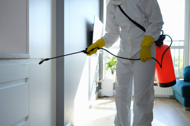 Best Mold Remediation Services  in Milford City, CT