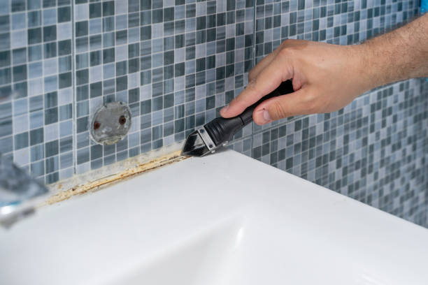Best Emergency Mold Removal  in Milford City, CT